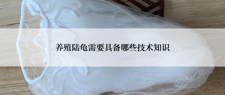 养殖陆龟需要具备哪些技术知识
