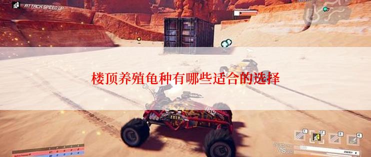 楼顶养殖龟种有哪些适合的选择