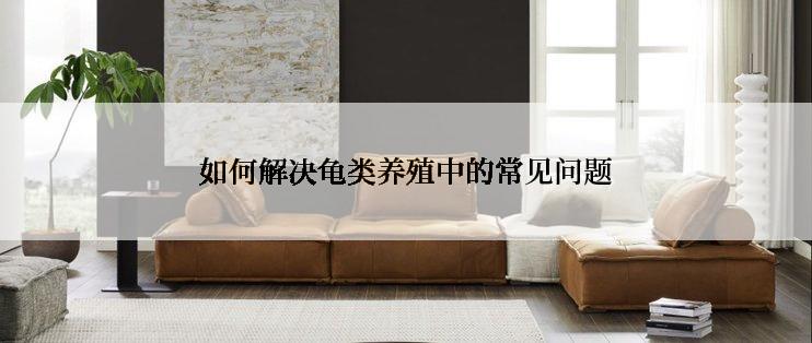 如何解决龟类养殖中的常见问题