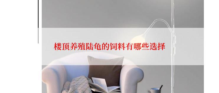 楼顶养殖陆龟的饲料有哪些选择