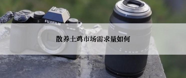 散养土鸡市场需求量如何