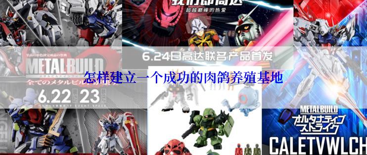 怎样建立一个成功的肉鸽养殖基地