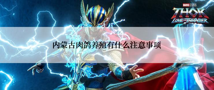 内蒙古肉鸽养殖有什么注意事项