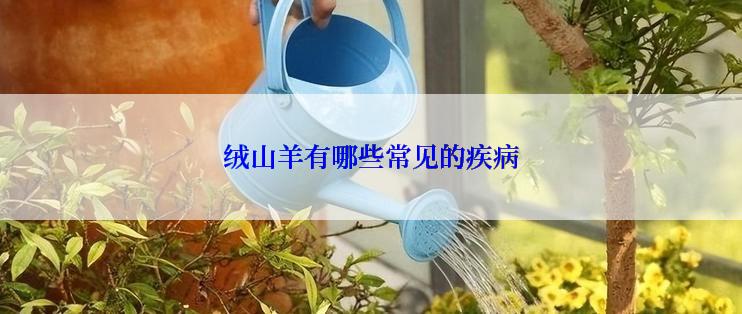 绒山羊有哪些常见的疾病