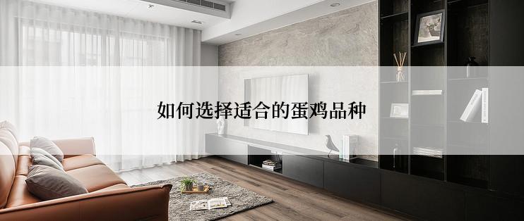 如何选择适合的蛋鸡品种