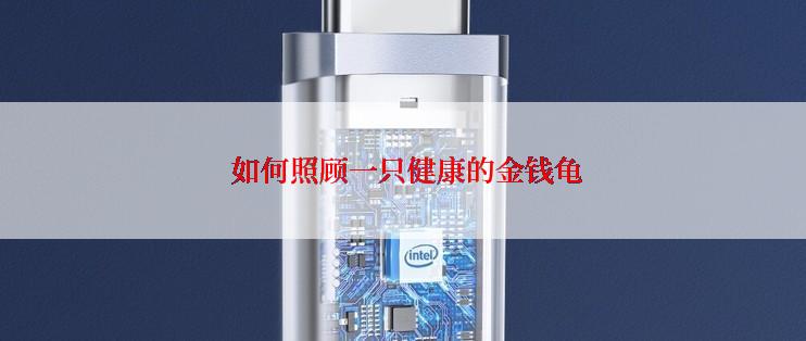  如何照顾一只健康的金钱龟