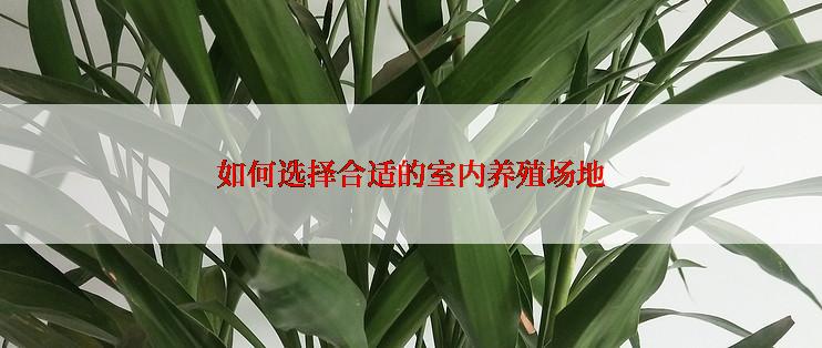 如何选择合适的室内养殖场地