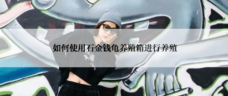  如何使用石金钱龟养殖箱进行养殖