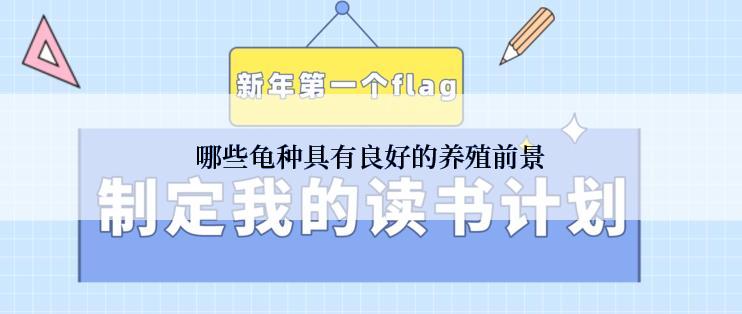 哪些龟种具有良好的养殖前景