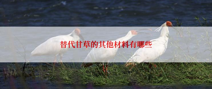 替代甘草的其他材料有哪些