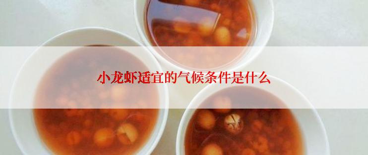 小龙虾适宜的气候条件是什么