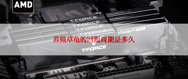 养殖草龟的回报周期是多久