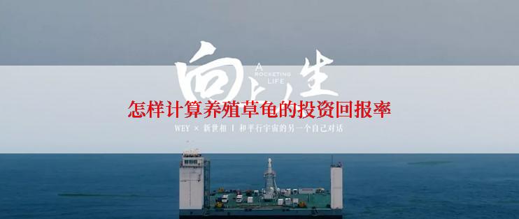 怎样计算养殖草龟的投资回报率