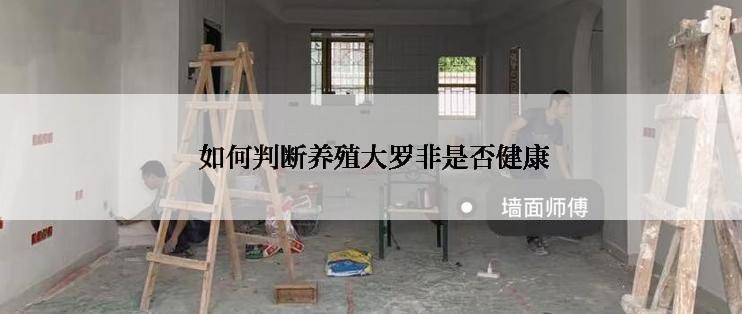  如何判断养殖大罗非是否健康