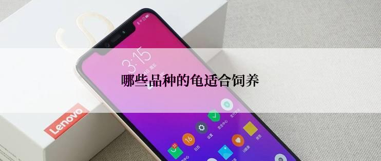 哪些品种的龟适合饲养