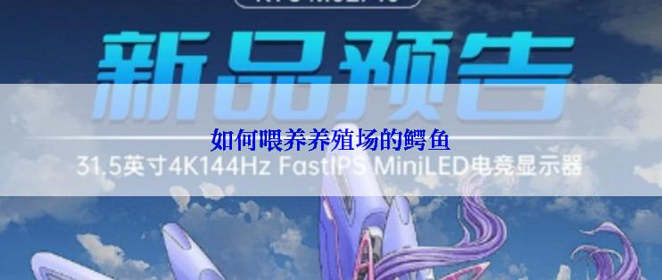 如何喂养养殖场的鳄鱼