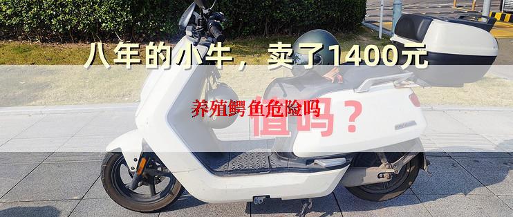 养殖鳄鱼危险吗