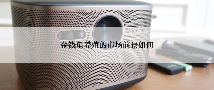 金钱龟养殖的市场前景如何