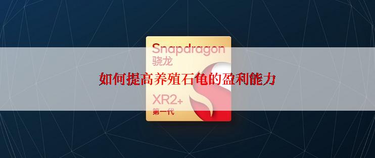 如何提高养殖石龟的盈利能力
