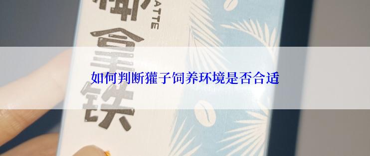如何判断獾子饲养环境是否合适