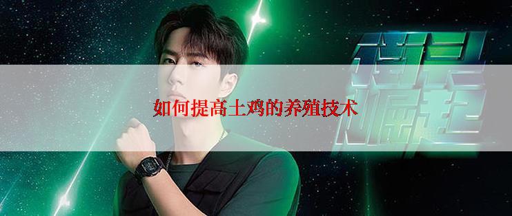 如何提高土鸡的养殖技术