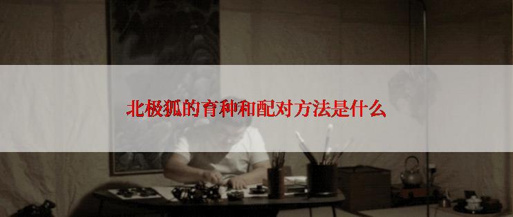 北极狐的育种和配对方法是什么