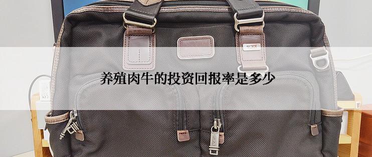  养殖肉牛的投资回报率是多少