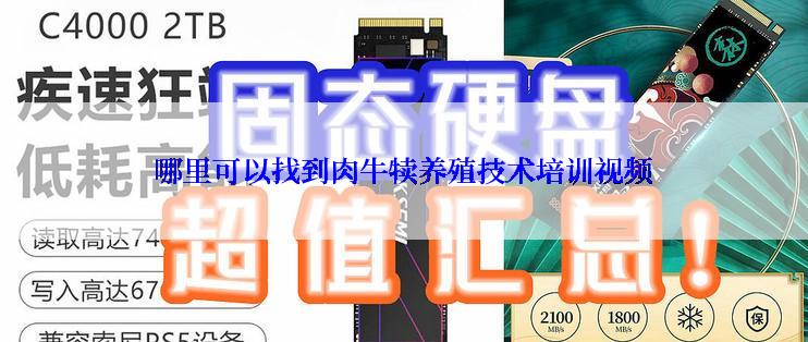 哪里可以找到肉牛犊养殖技术培训视频