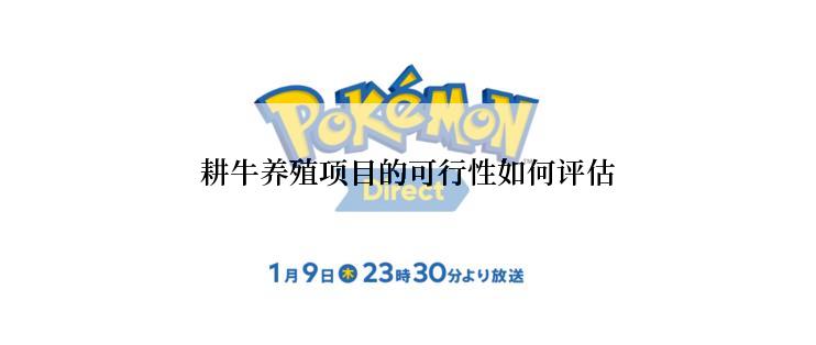 耕牛养殖项目的可行性如何评估