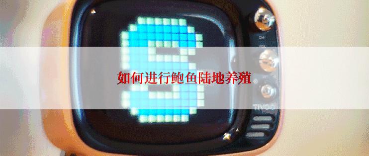 如何进行鲍鱼陆地养殖