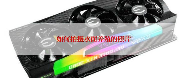  如何拍摄水面养殖的照片