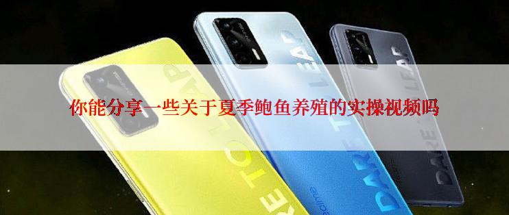 你能分享一些关于夏季鲍鱼养殖的实操视频吗