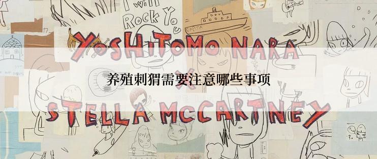 养殖刺猬需要注意哪些事项