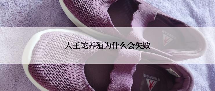 大王蛇养殖为什么会失败