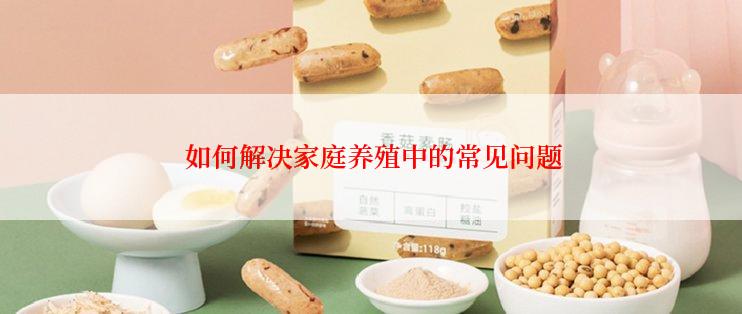  如何解决家庭养殖中的常见问题