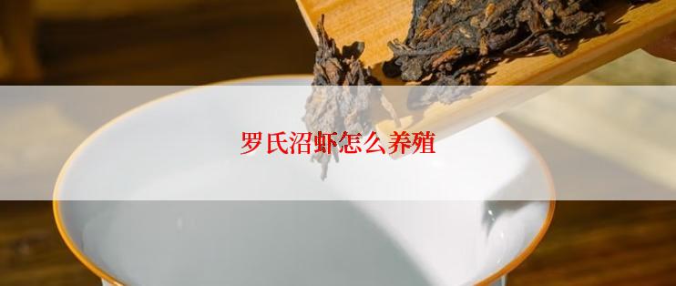 罗氏沼虾怎么养殖