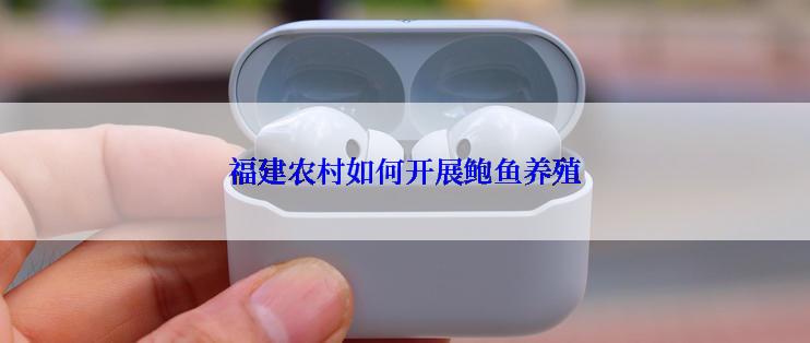福建农村如何开展鲍鱼养殖