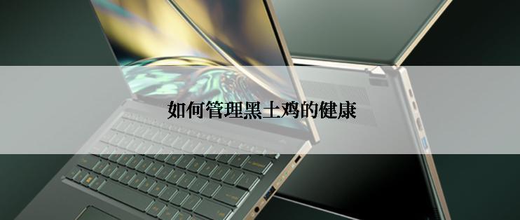 如何管理黑土鸡的健康