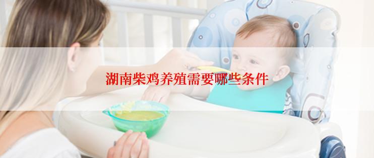 湖南柴鸡养殖需要哪些条件