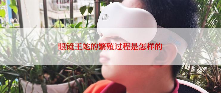 眼镜王蛇的繁殖过程是怎样的