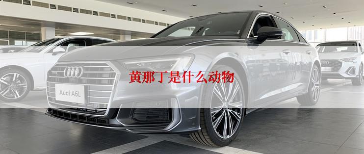 黄那丁是什么动物