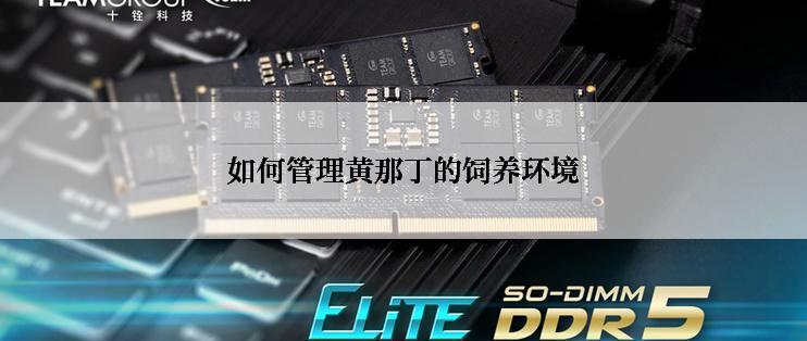 如何管理黄那丁的饲养环境