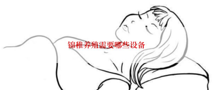 锦稚养殖需要哪些设备