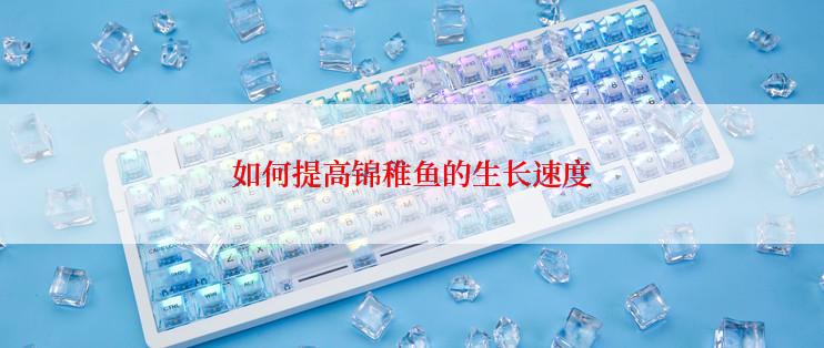 如何提高锦稚鱼的生长速度