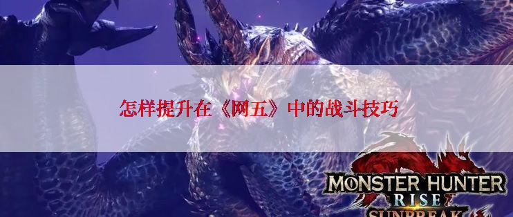 怎样提升在《网五》中的战斗技巧