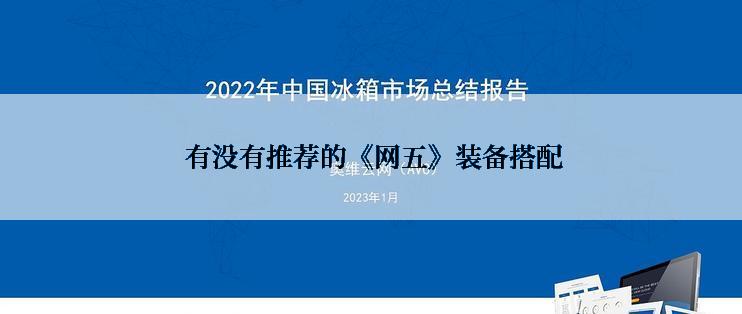 有没有推荐的《网五》装备搭配