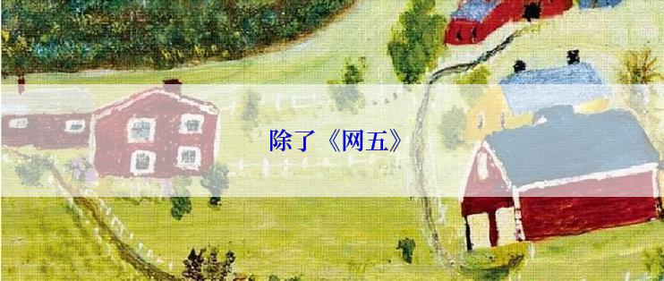 除了《网五》