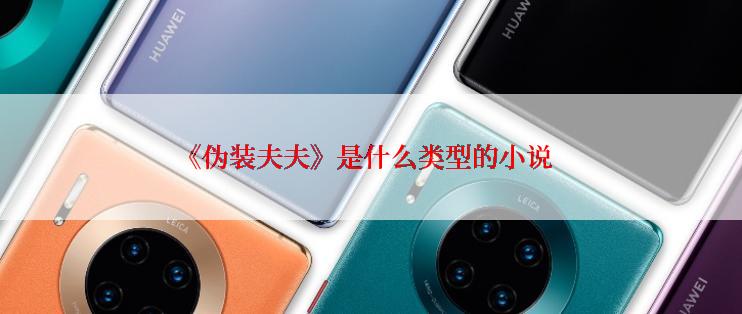 《伪装夫夫》是什么类型的小说