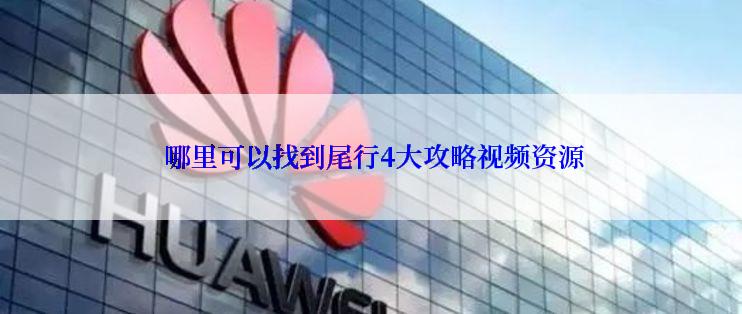  哪里可以找到尾行4大攻略视频资源