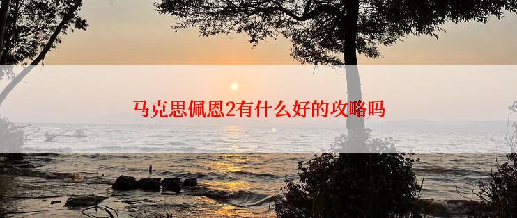 马克思佩恩2有什么好的攻略吗